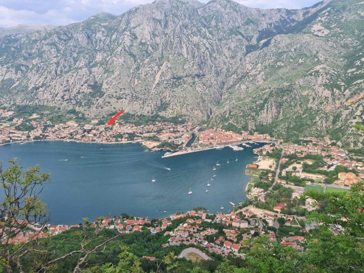 Apartments Lazarevic Kotor Exterior photo